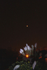 Eclipse Lune Marianne